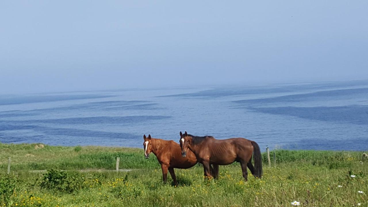 Ocean Heights B&B Lissadell エクステリア 写真